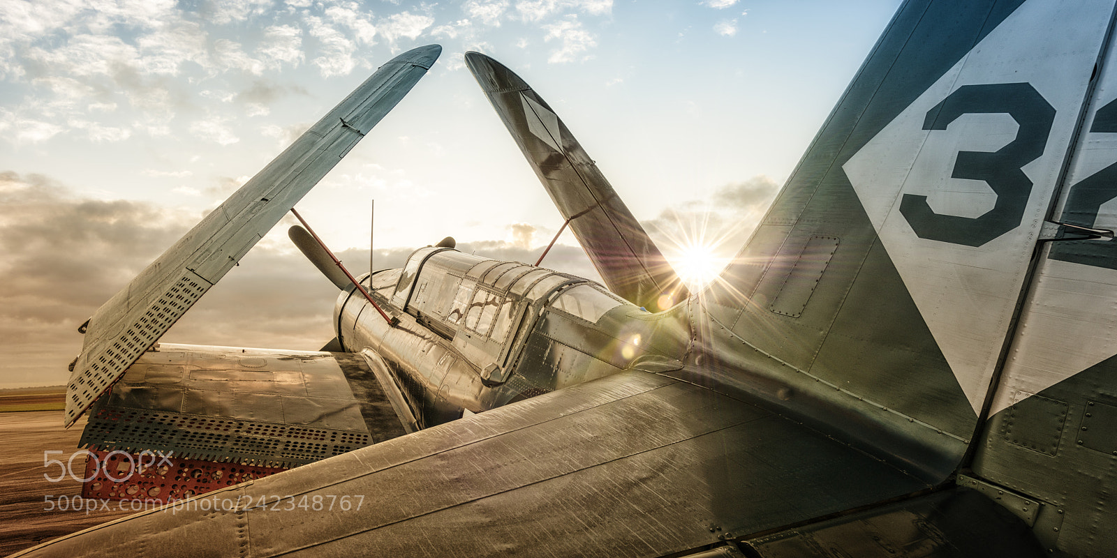 Nikon D810 sample photo. Wingsoverhouston photography