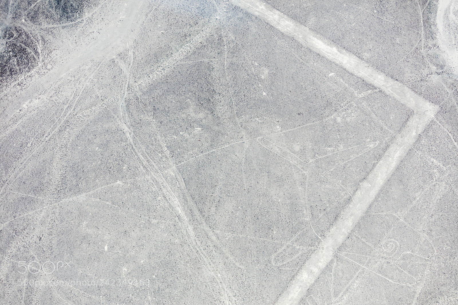 Canon EOS 5DS R sample photo. Nazca lines from the photography