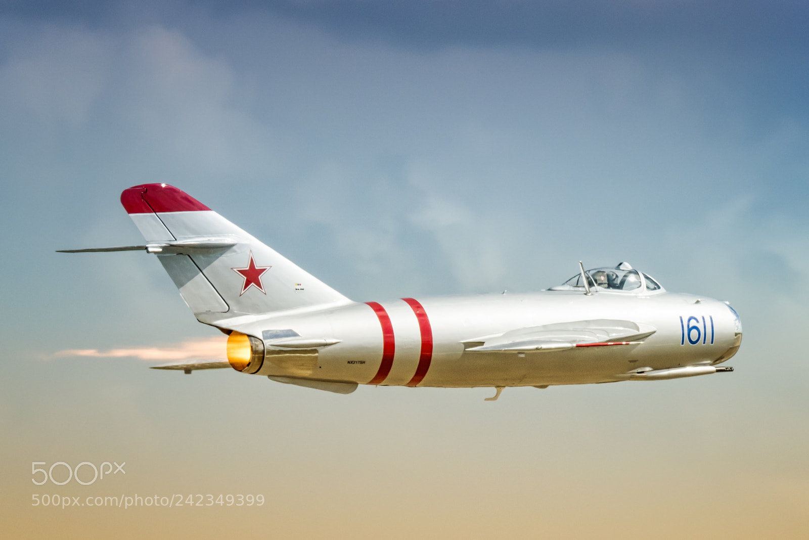 Nikon D810 sample photo. Wingsoverhouston photography