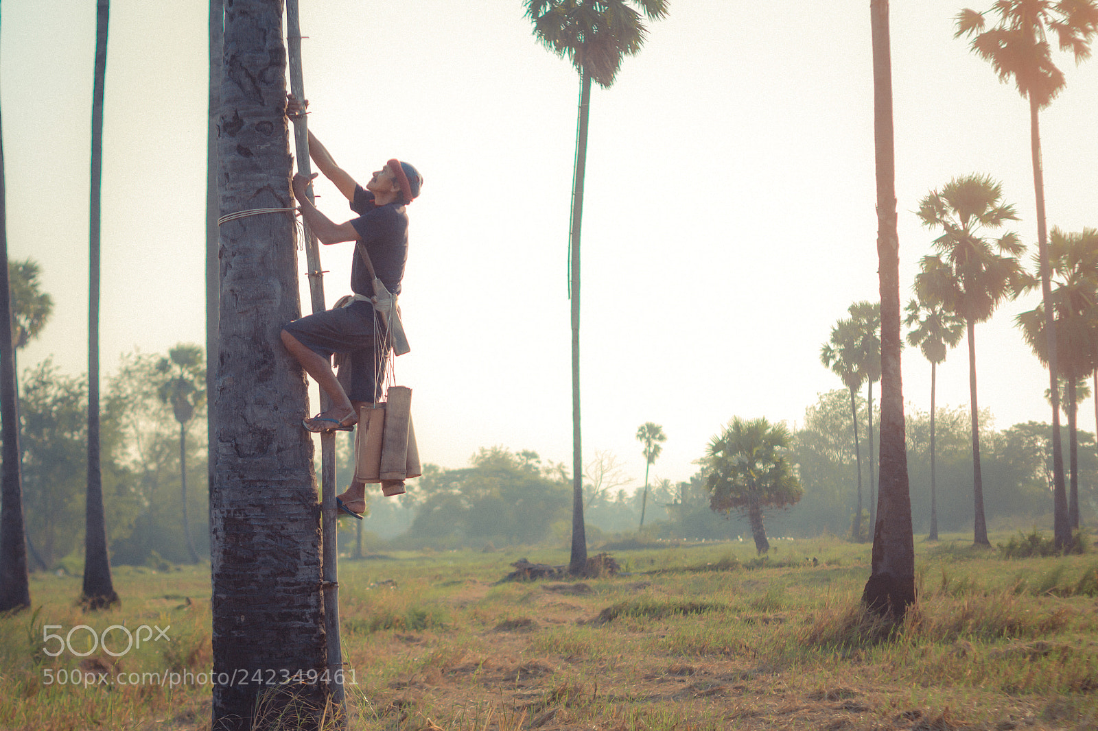 Canon EOS 60D sample photo. Lifestyle of asian photography