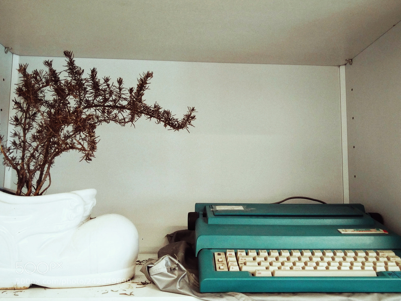 OnePlus 2 sample photo. Vita e scrittura photography