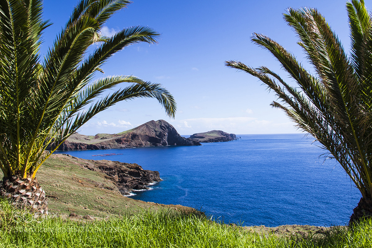 Canon EOS 7D Mark II sample photo. Ponta de sao lourenco photography