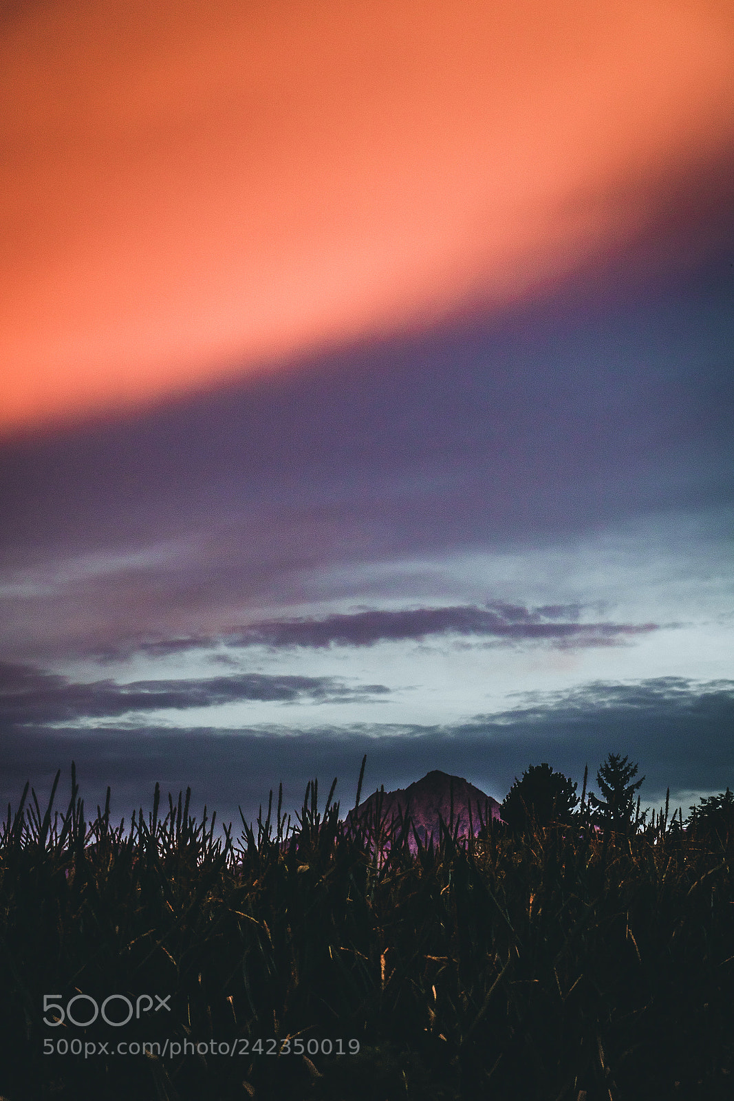 Canon EOS 750D (EOS Rebel T6i / EOS Kiss X8i) sample photo. Stranger things photography