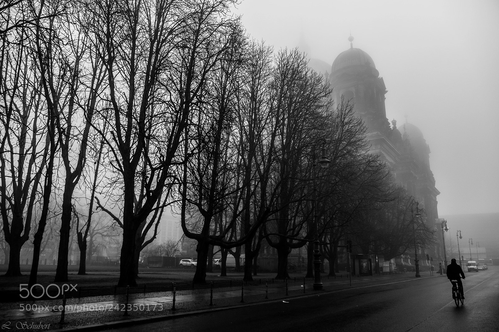 Fujifilm X-T1 sample photo. Foggy winter monday in photography