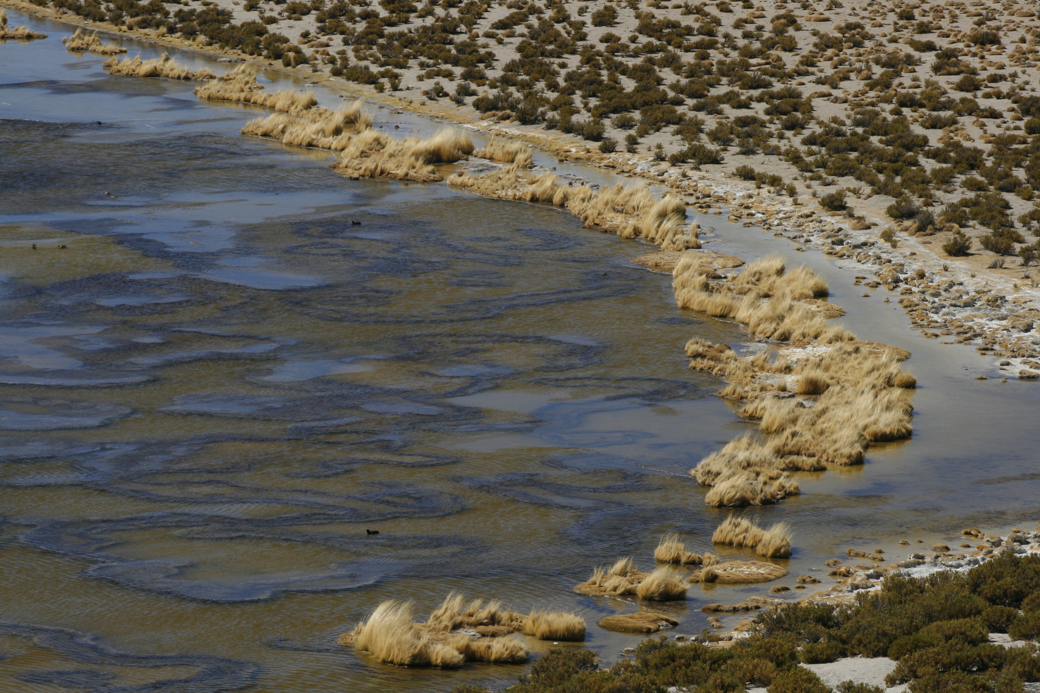 Canon EF 90-300mm F4.5-5.6 sample photo. Salar de tara. photography