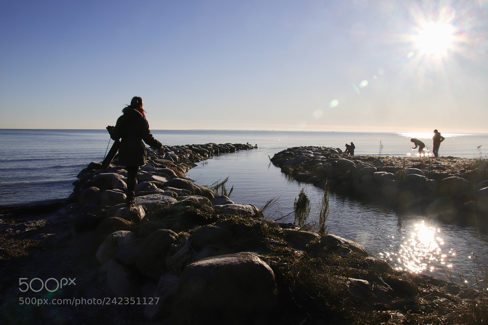 Canon EOS 77D (EOS 9000D / EOS 770D) sample photo. Winter photography