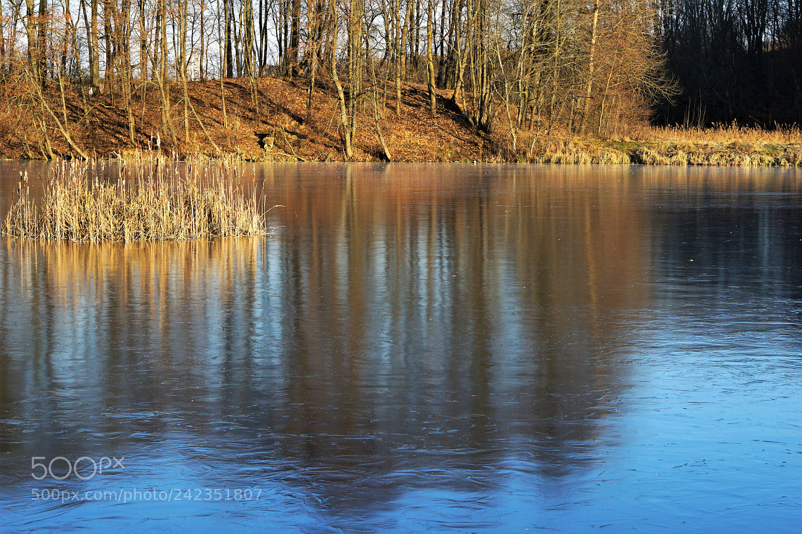 Sony a5100 sample photo. Ice photography