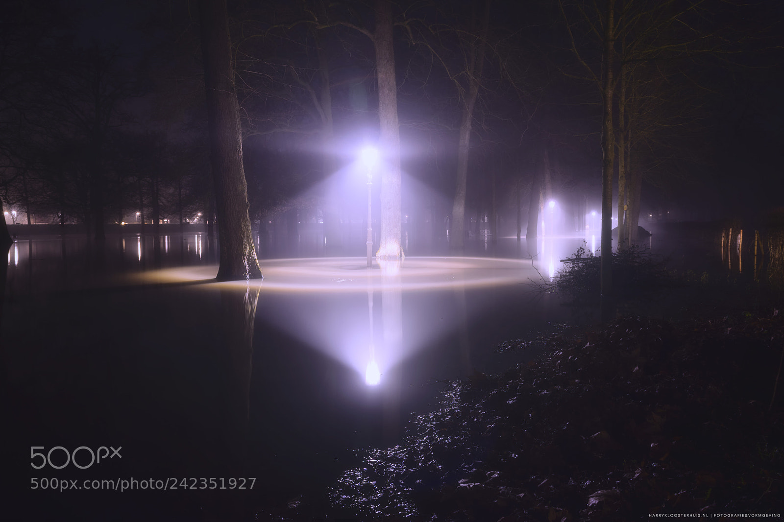 Nikon D7200 sample photo. Light at the wet photography