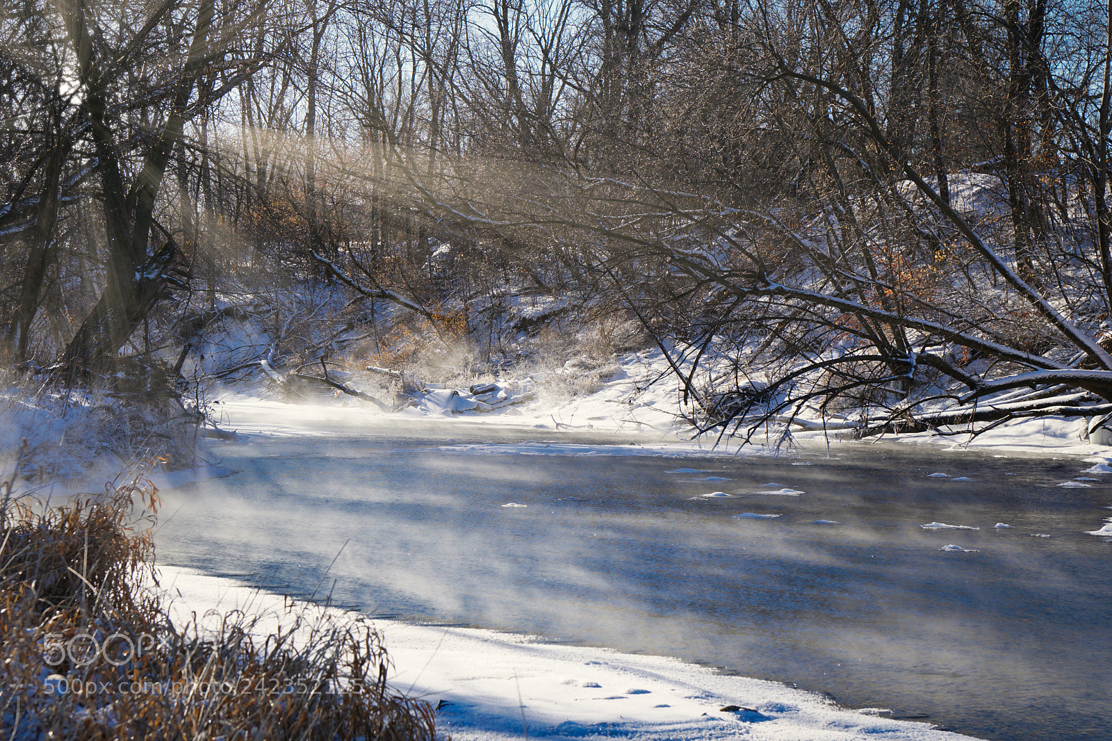 Sony a6300 sample photo. Sun fog photography