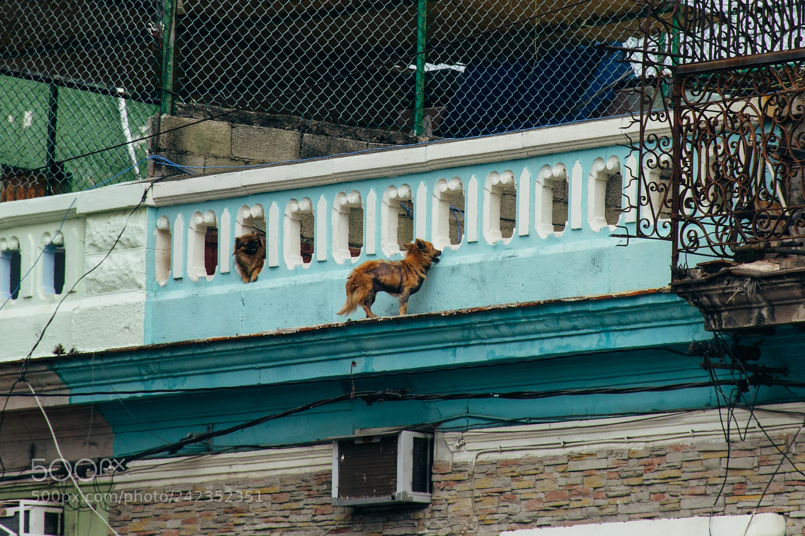 Nikon D7100 sample photo. Cuba 83 photography