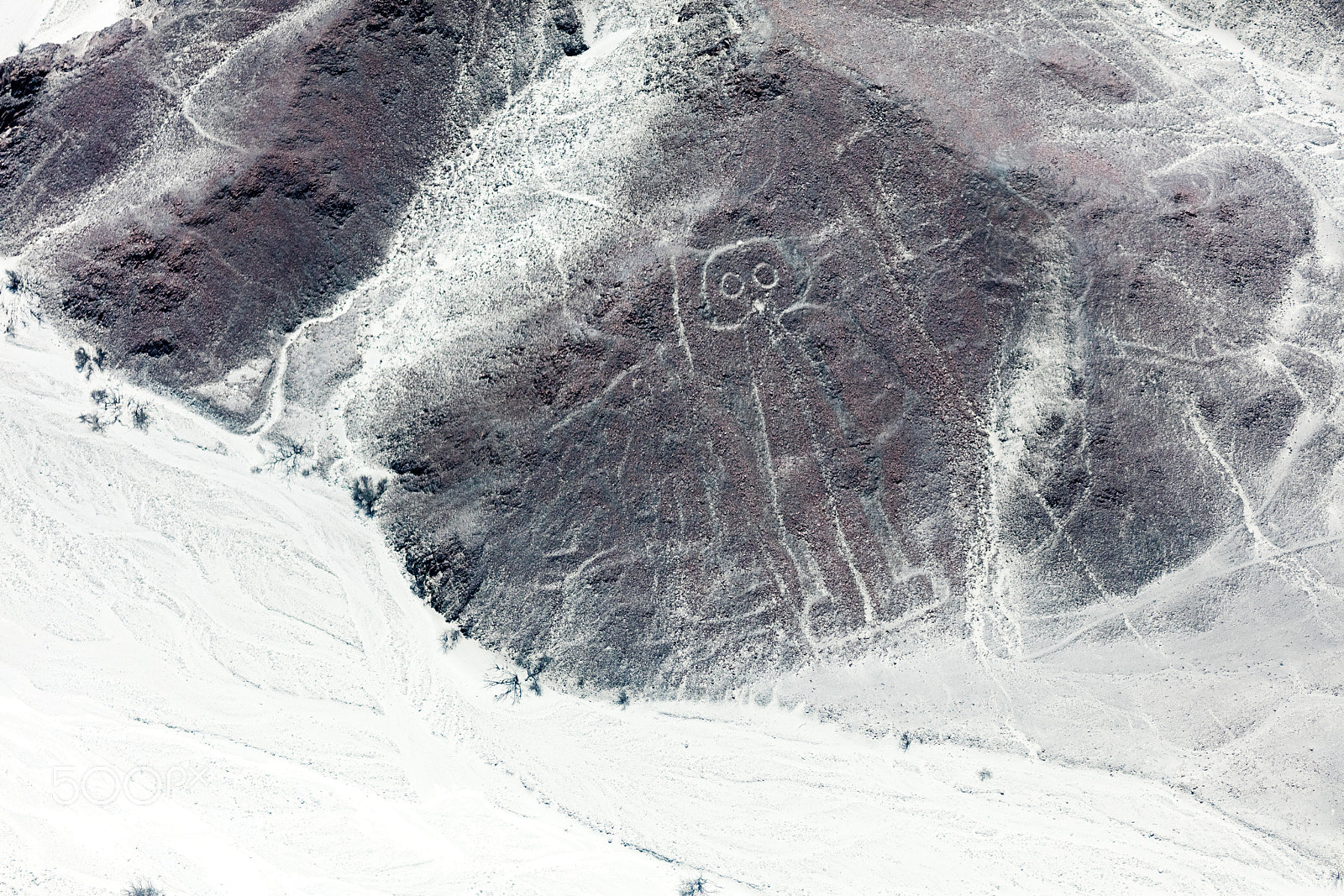 Canon EOS 5DS R sample photo. Nazca lines from the photography