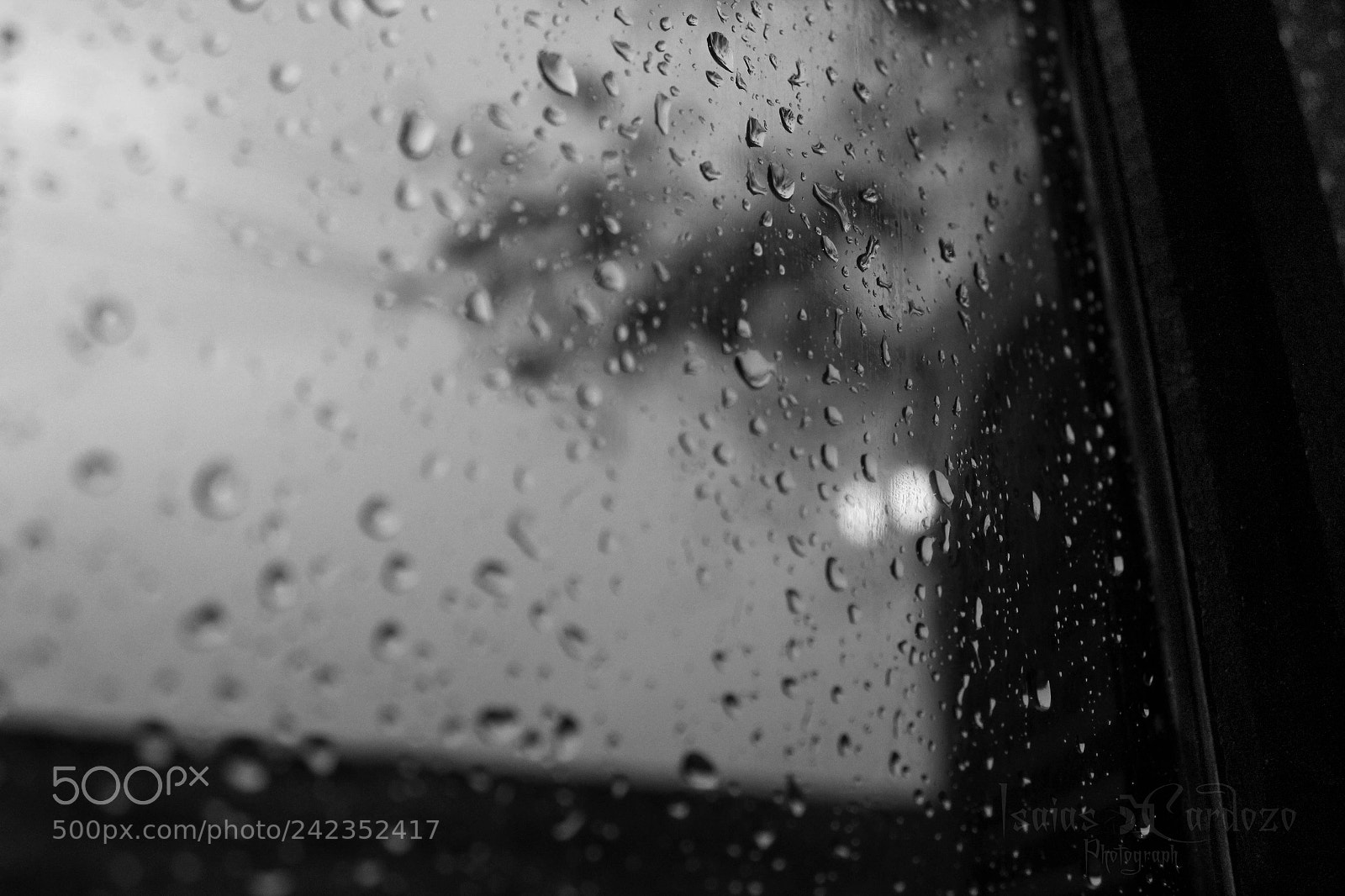 Canon EOS 1200D (EOS Rebel T5 / EOS Kiss X70 / EOS Hi) sample photo. Rainy day photography