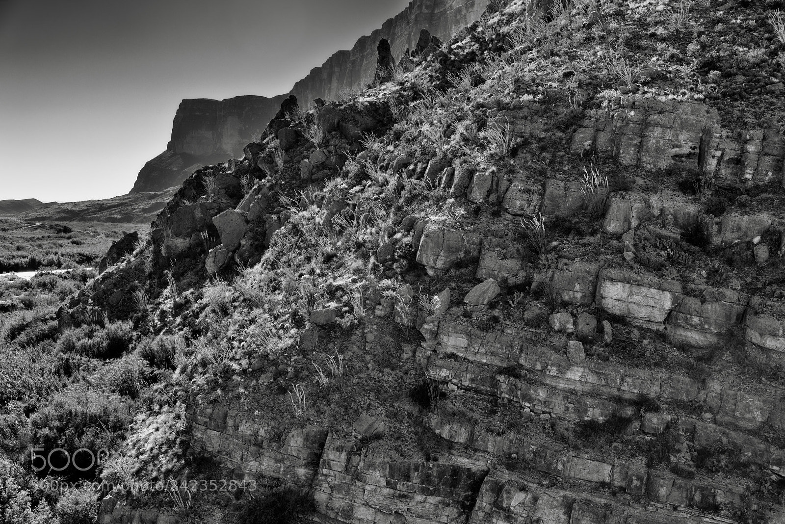 Nikon D800E sample photo. A look across a photography
