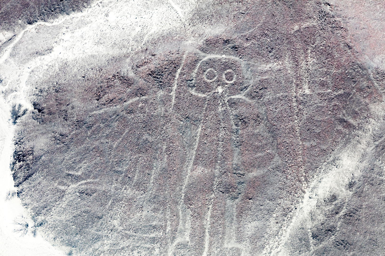 Canon EOS 5DS R sample photo. Nazca lines from the photography