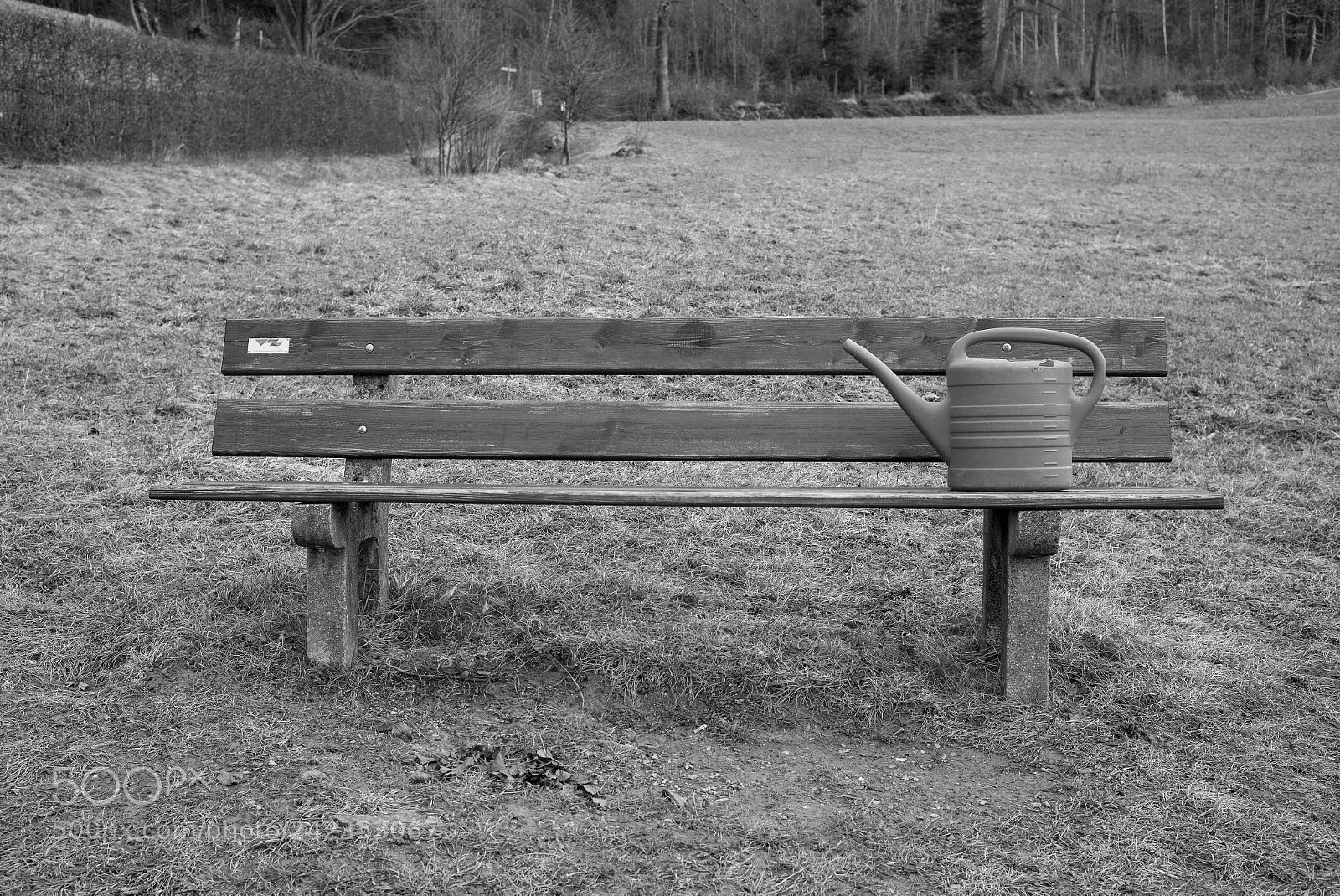 Leica M Monochrom (Typ 246) sample photo. Swiss bench photography