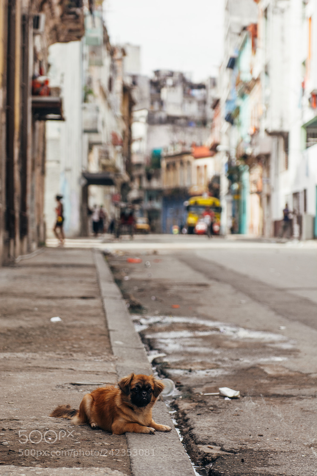 Nikon D7100 sample photo. Cuba 110 photography
