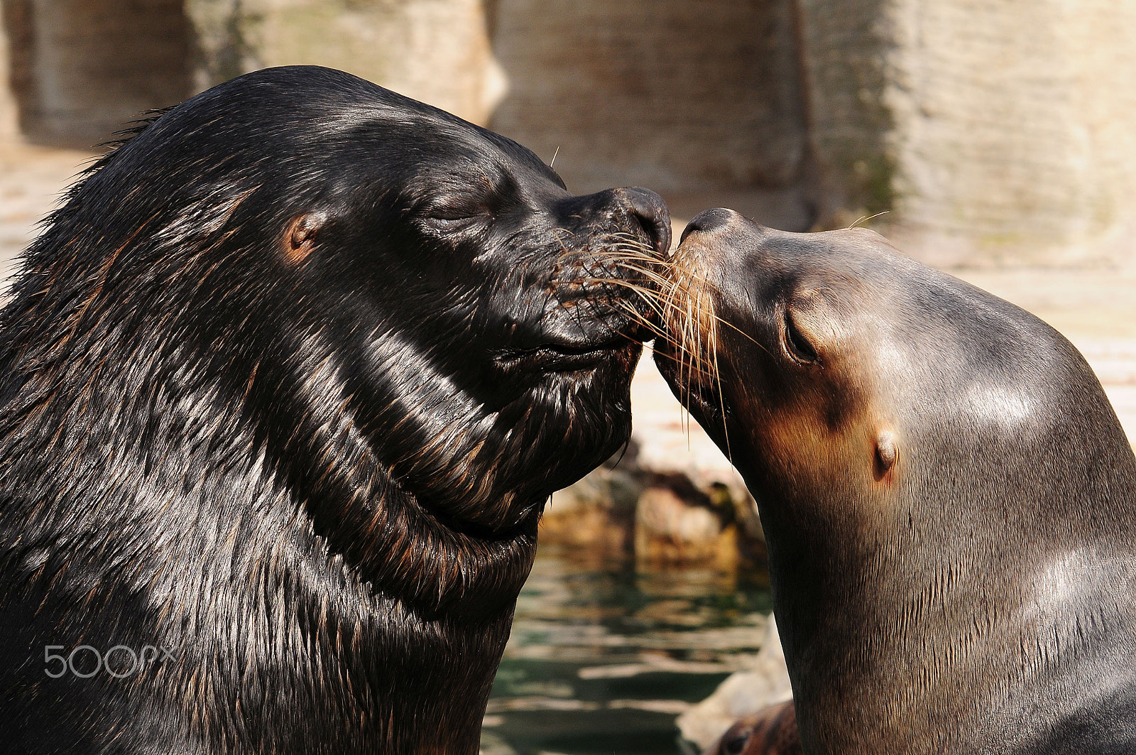 Nikon D300 sample photo. First kiss photography