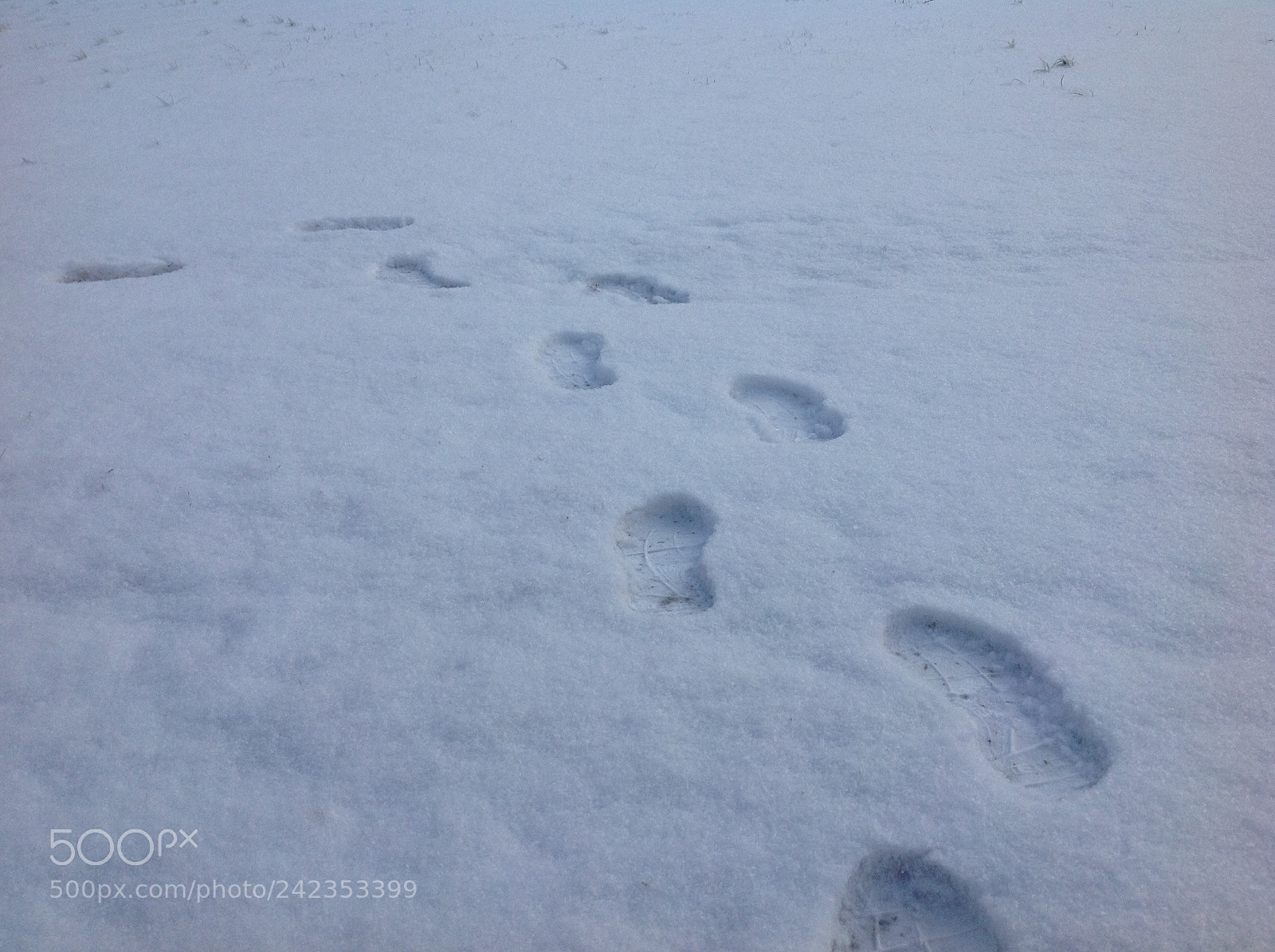 Apple iPad sample photo. Footprints in the snow photography