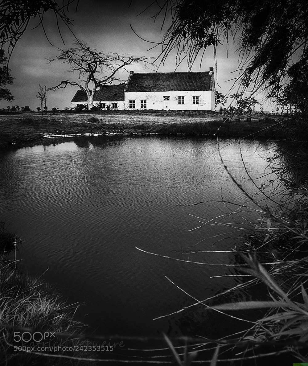 Canon EOS 5DS sample photo. White houses 7 photography