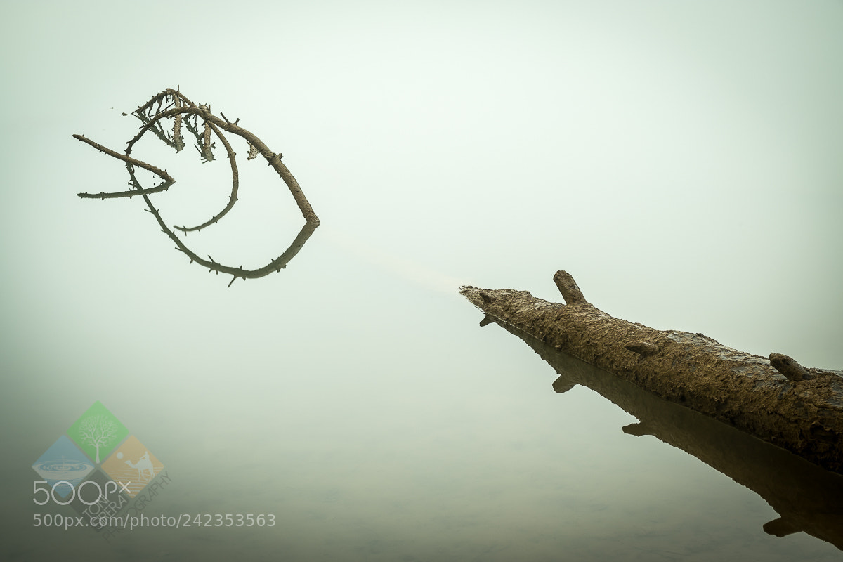 Fujifilm X-T2 sample photo. Into fog photography