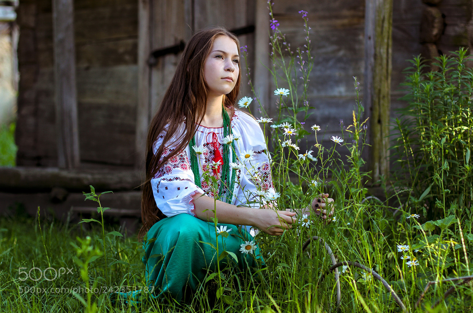 Canon EOS 550D (EOS Rebel T2i / EOS Kiss X4) sample photo. Ukrainian photography