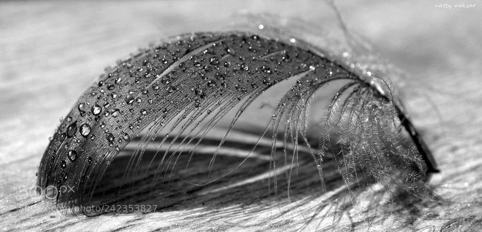 Nikon D60 sample photo. Lightness...#4 photography