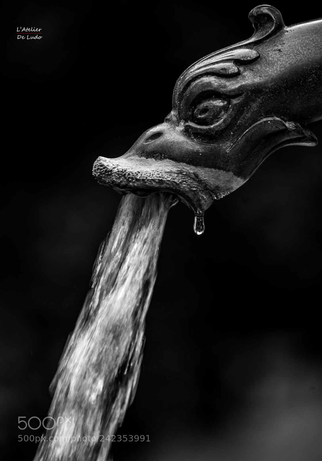 Nikon D600 sample photo. Fontaine photography