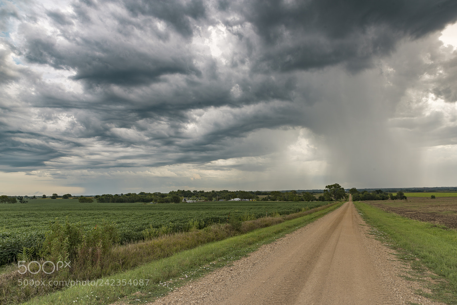 Nikon D800 sample photo. Summer storm photography