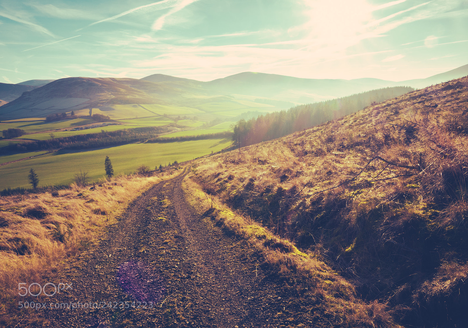 Sony Cyber-shot DSC-RX10 III sample photo. Scottish rural trail photography