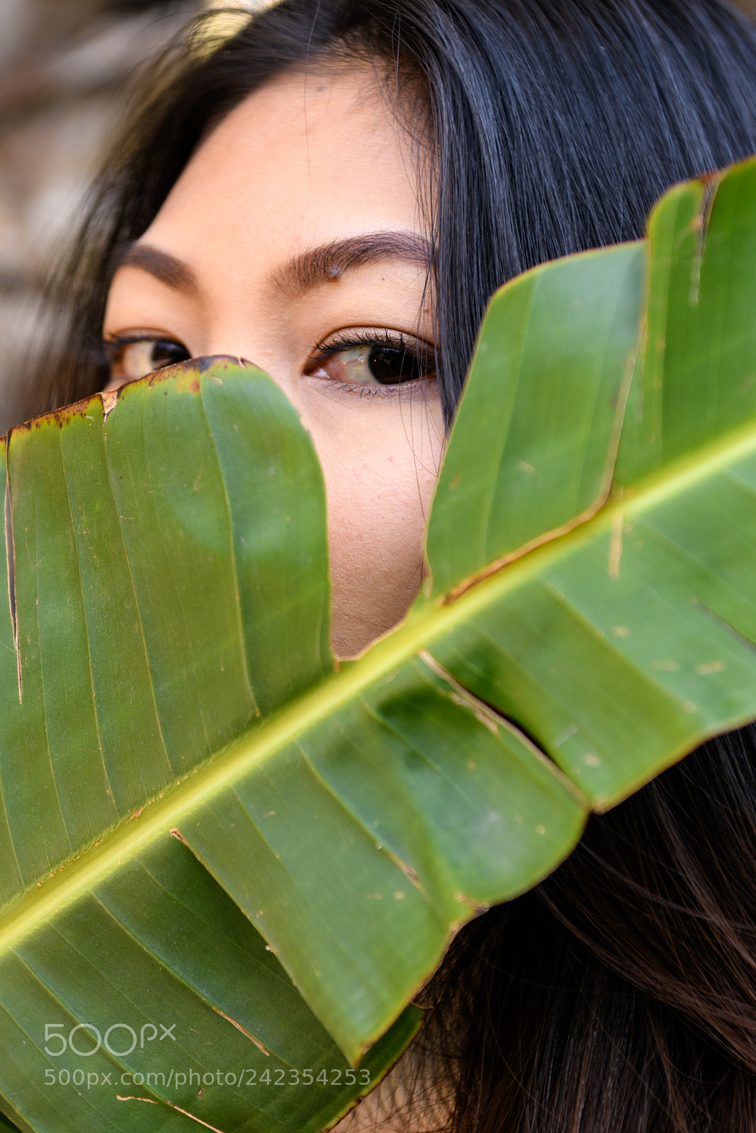 Nikon D850 sample photo. Hidden photography
