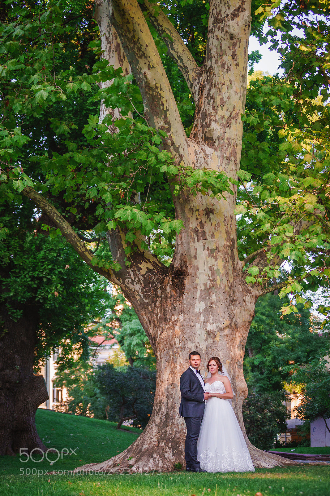 Sony SLT-A99V sample photo. V&i wedding day photography