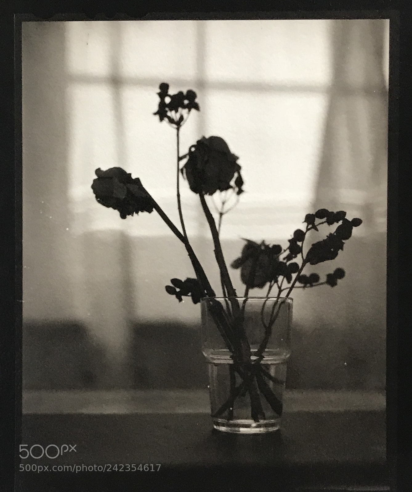 Apple iPhone 7 Plus sample photo. Winter days by ilford photography