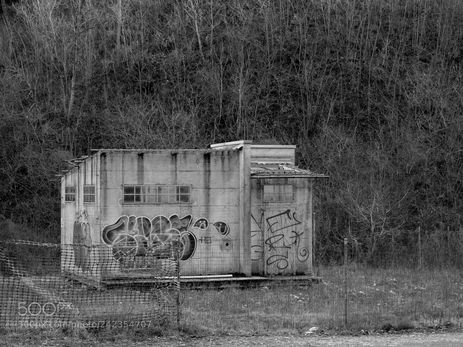 Olympus OM-D E-M10 II sample photo. Decay photography