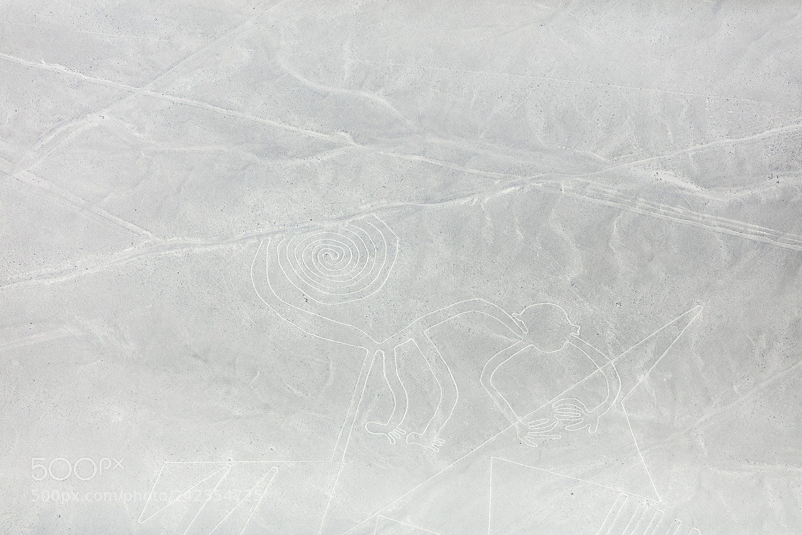 Canon EOS 5DS R sample photo. Nazca lines from the photography