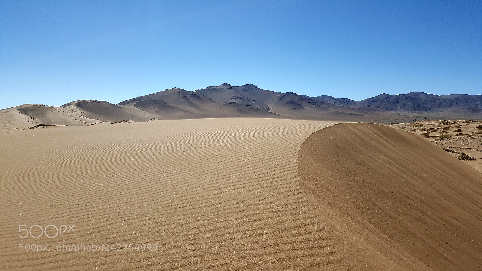Samsung GALAXY S6 edge sample photo. Desert dune photography