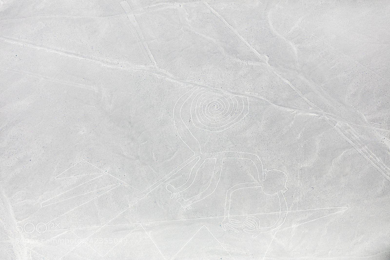 Canon EOS 5DS R sample photo. Nazca lines from the photography
