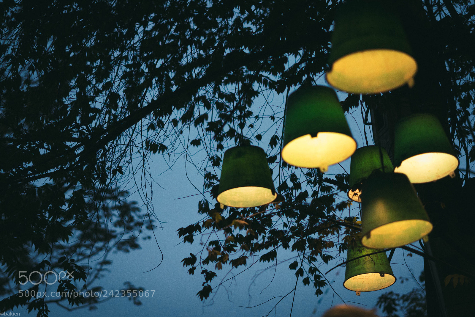 Sony a7 sample photo. Light on photography