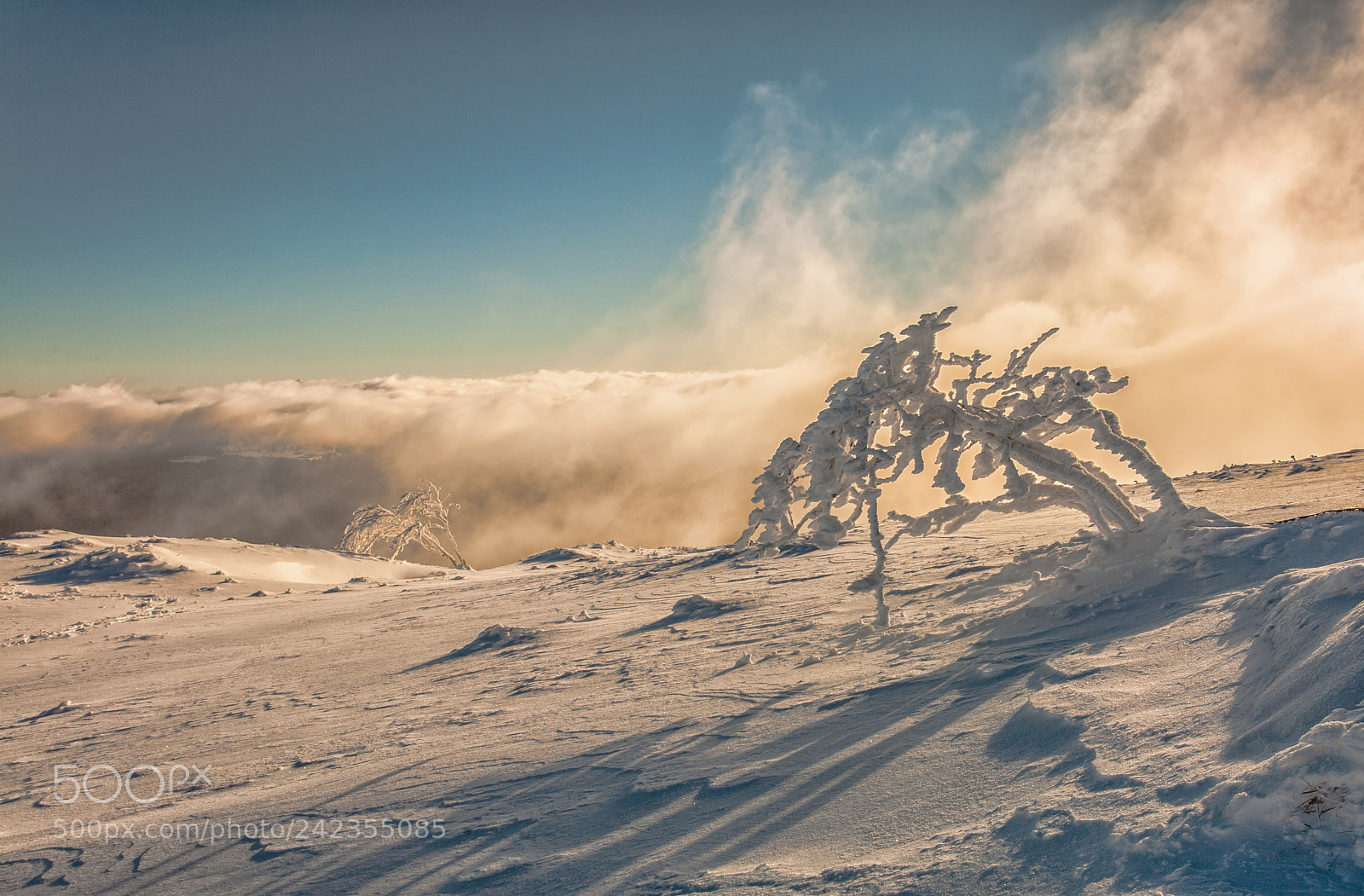 Canon EOS 5D sample photo. Ambiance hivernale photography