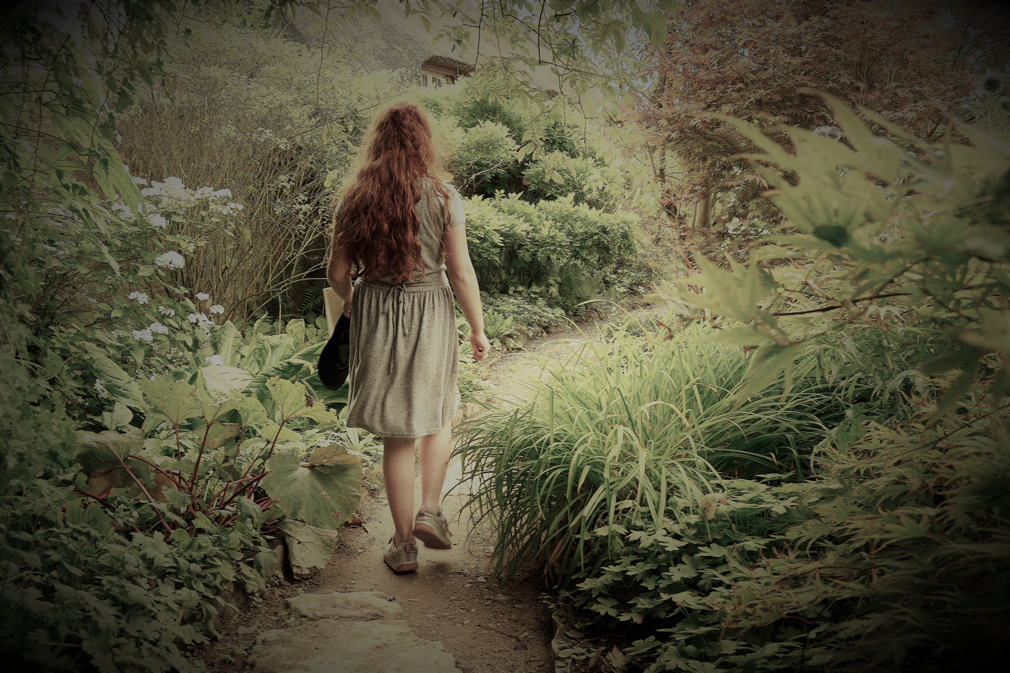Nikon D5500 sample photo. Walking along the enchanted footpath photography