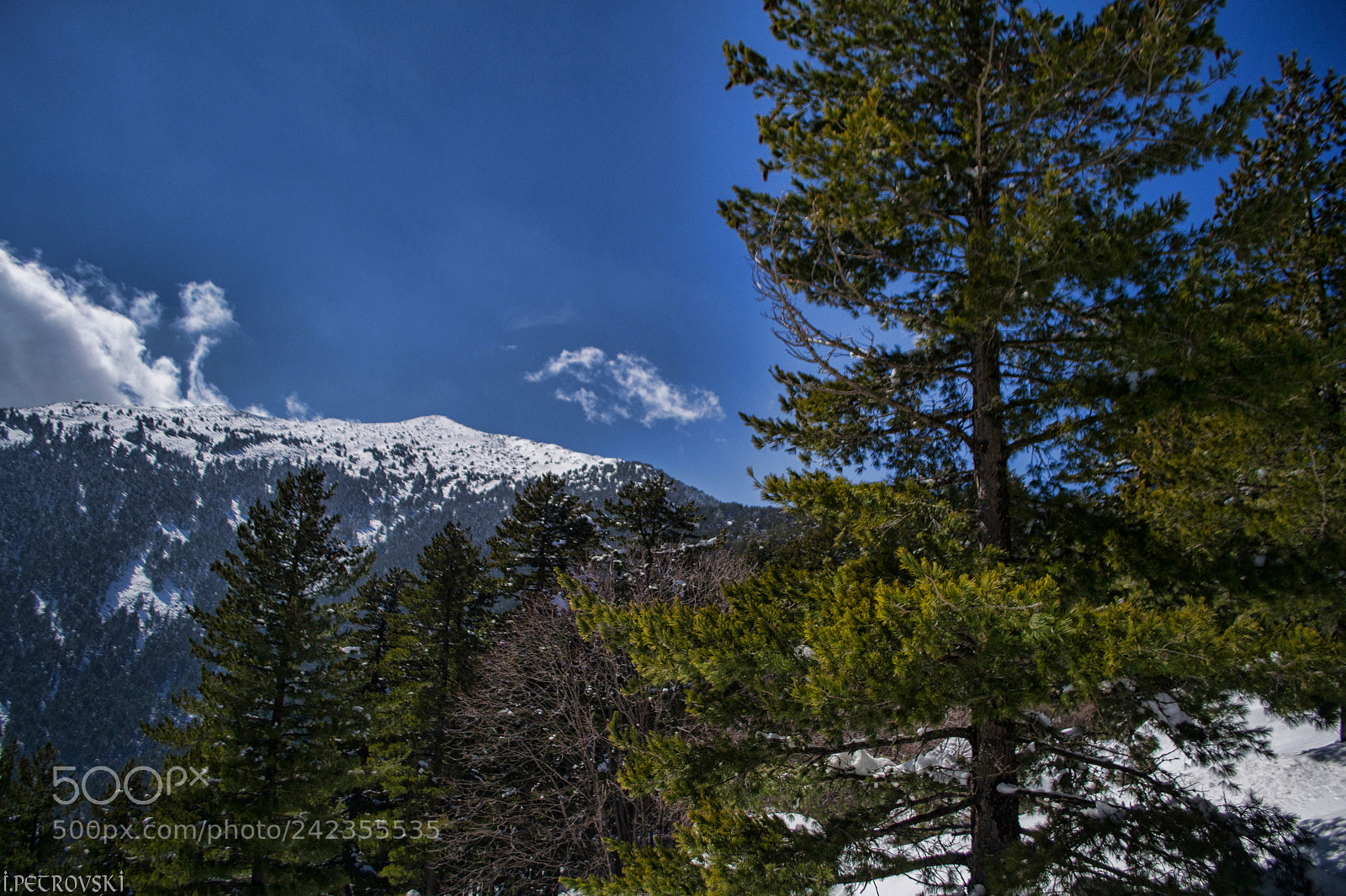 Nikon D3100 sample photo. Top of the mountain photography