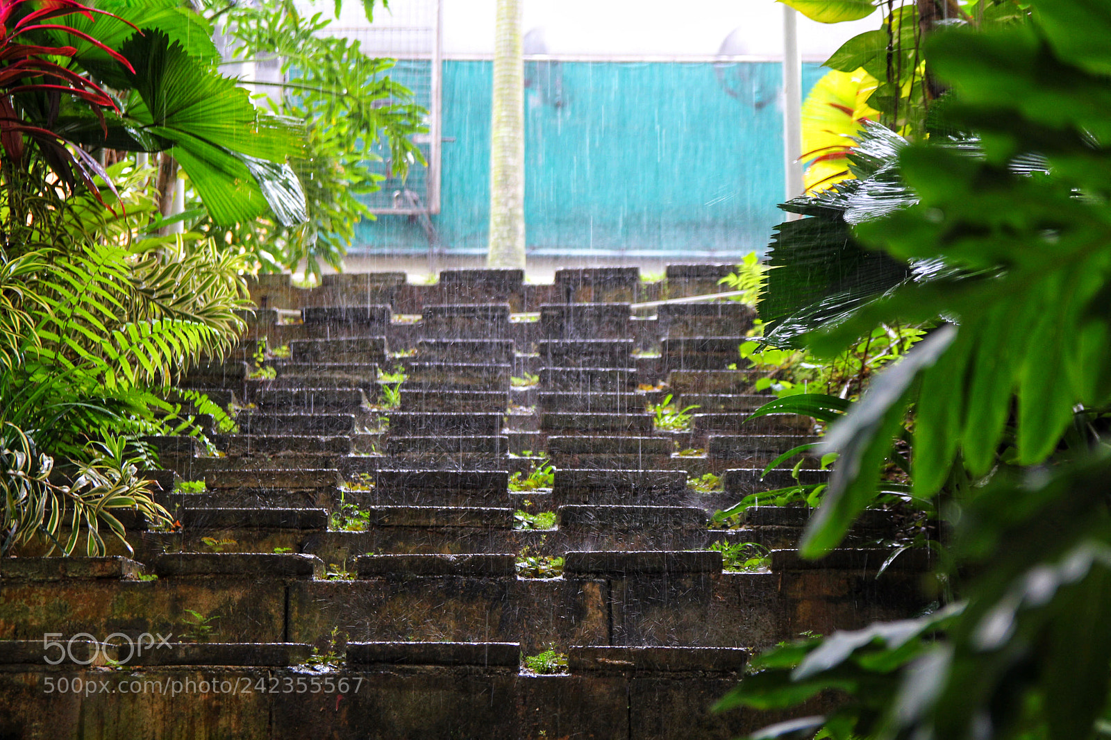 Canon EOS 60D sample photo. Untitled photography