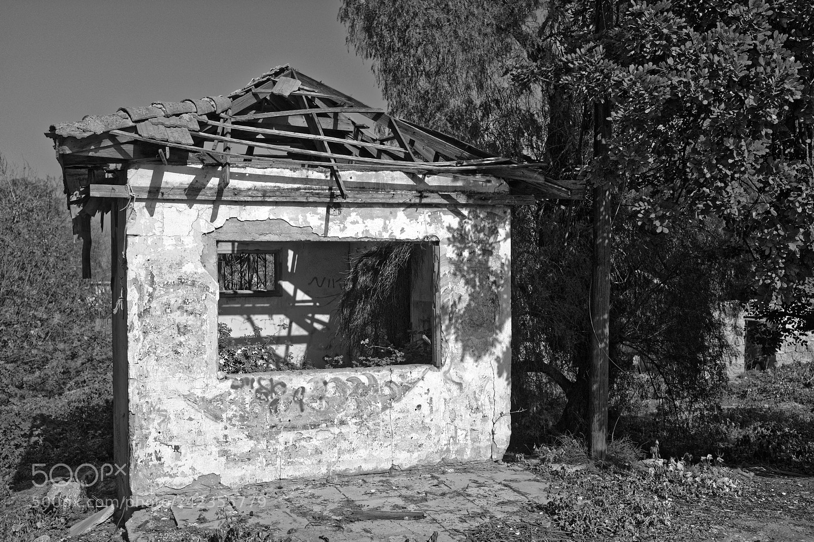 Fujifilm X100F sample photo. Crumbles photography