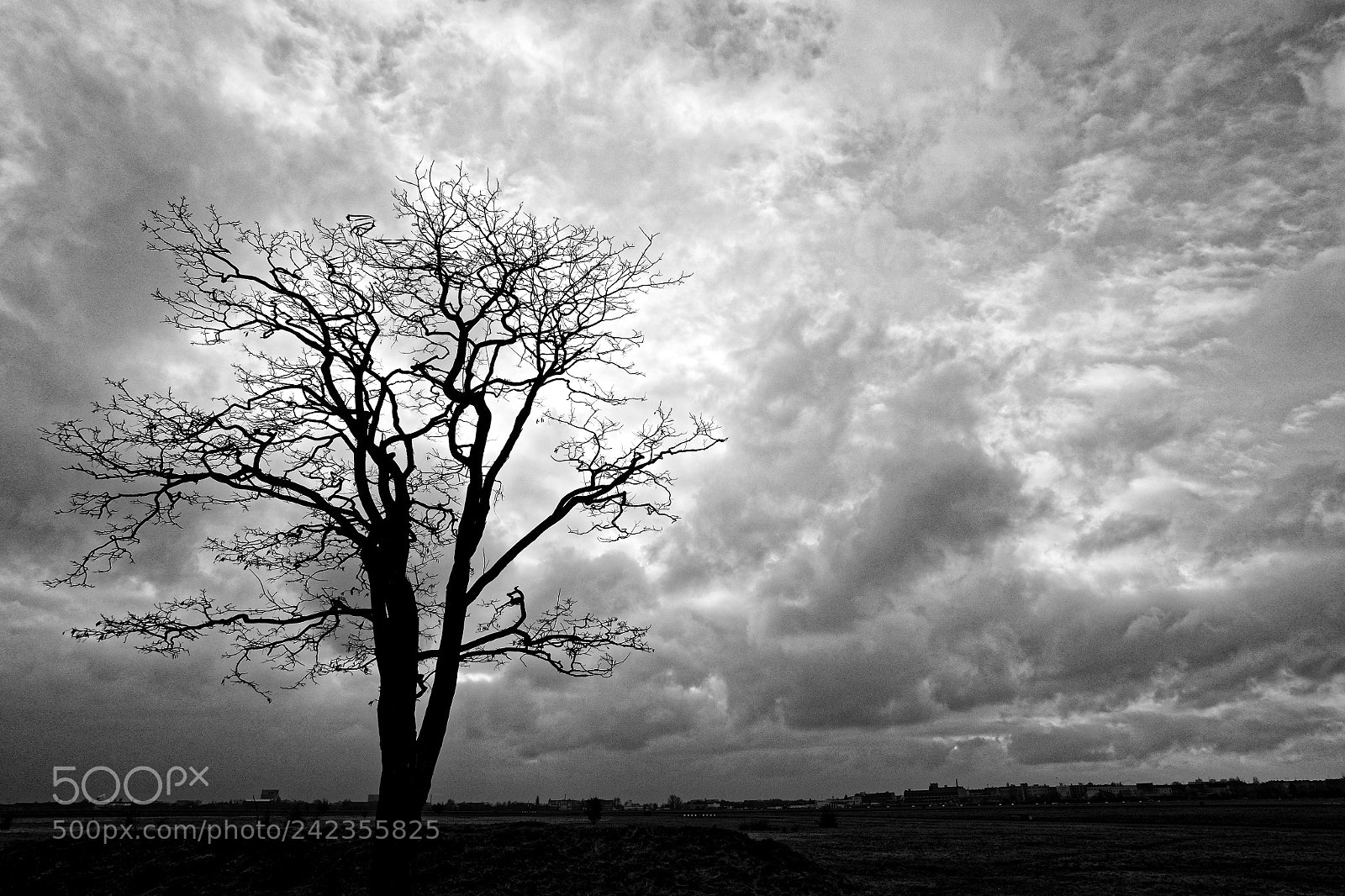 Fujifilm X70 sample photo. Untitled photography