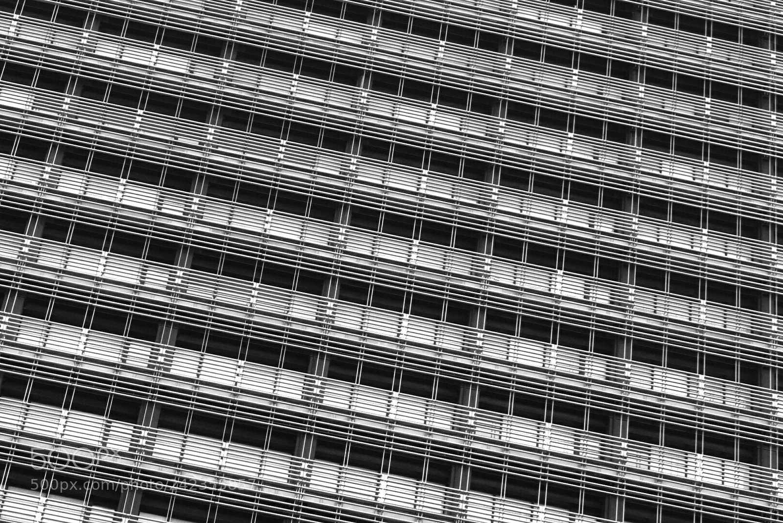 Sony a7 II sample photo. Black and white photography