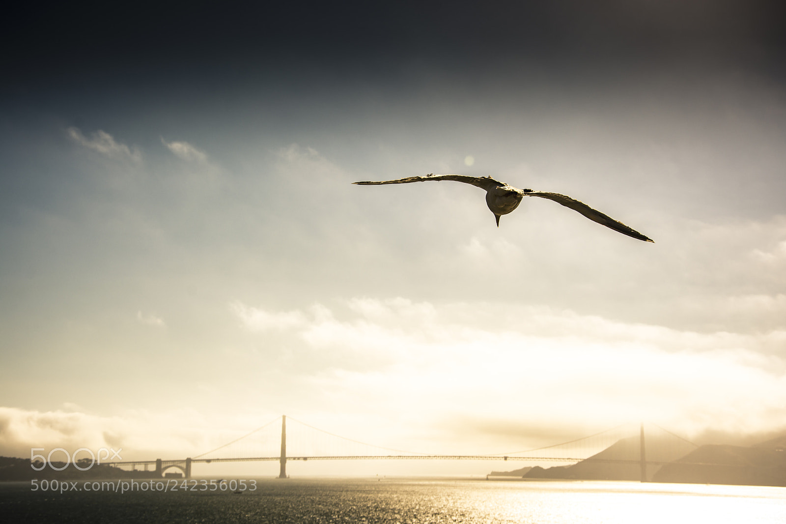Nikon D7100 sample photo. Freedom photography