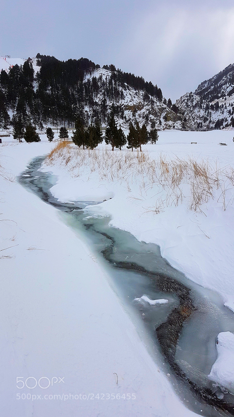Samsung Galaxy S7 Edge sample photo. Frozen stream photography