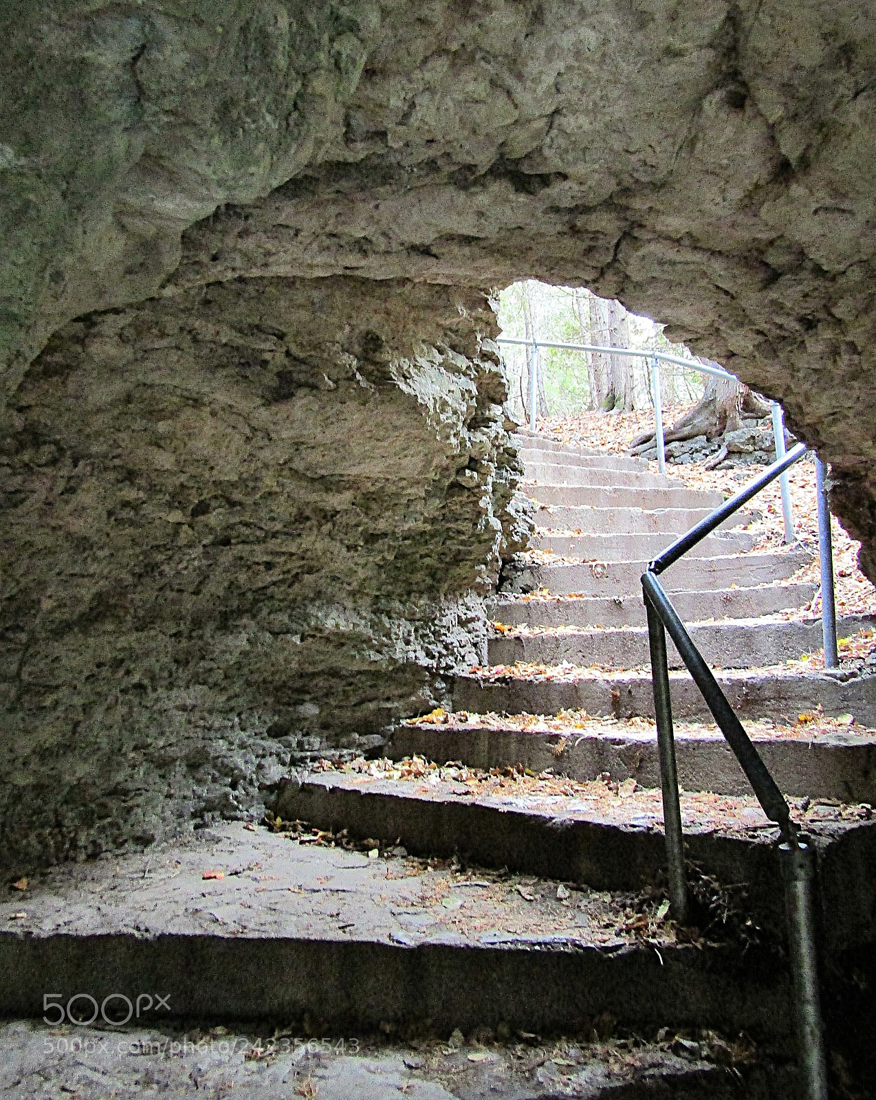 Canon PowerShot SX410 IS sample photo. Welcome to my lair photography