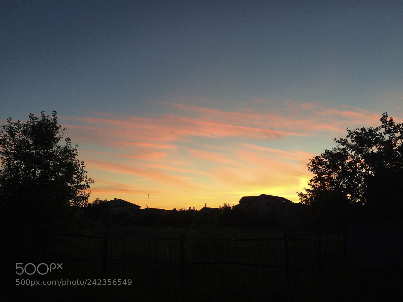 Apple iPhone 5s sample photo. Summer sunshine photography