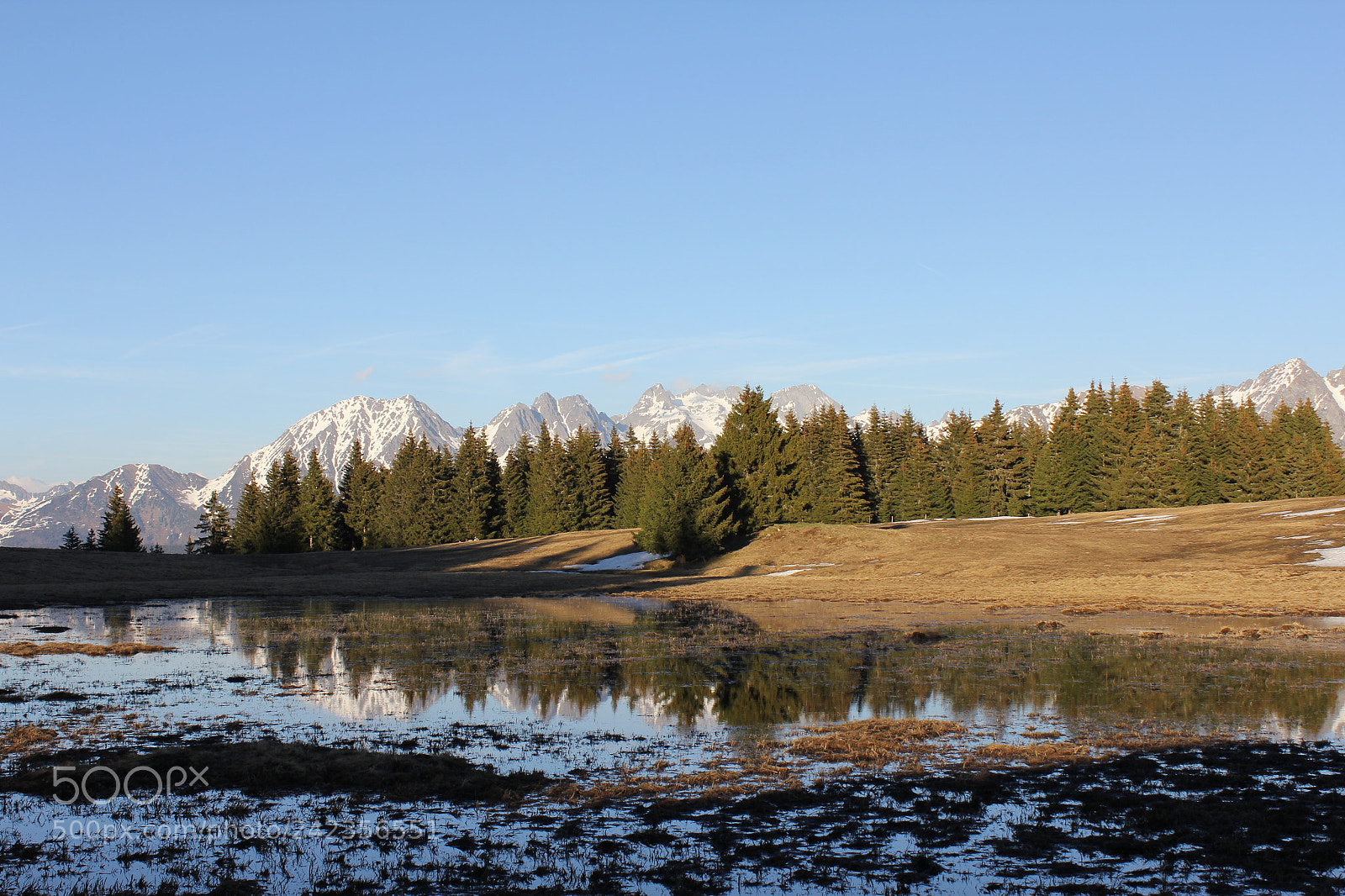 Canon EOS 60D sample photo. Cret du poulet photography