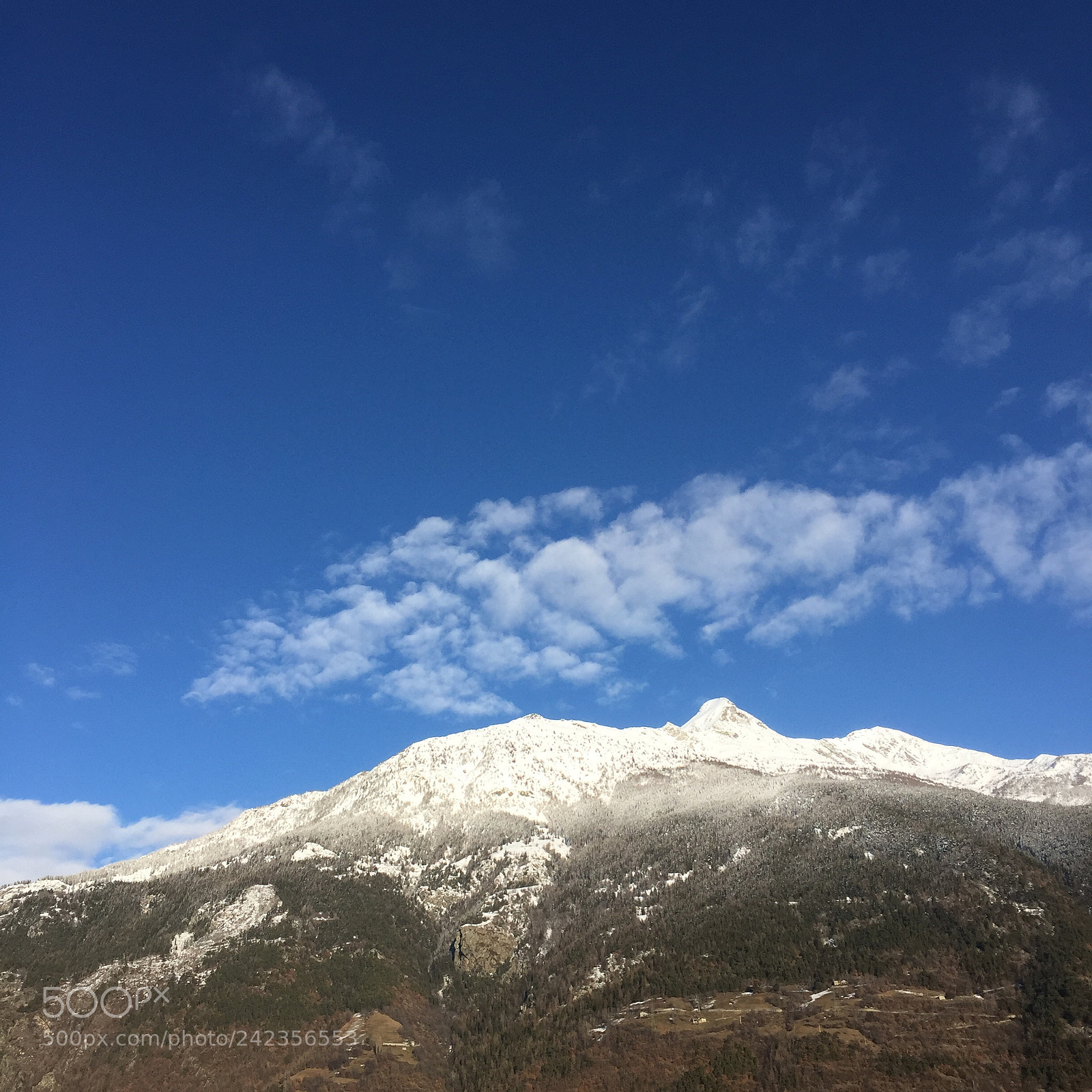 Apple iPhone 6 sample photo. 2 photography